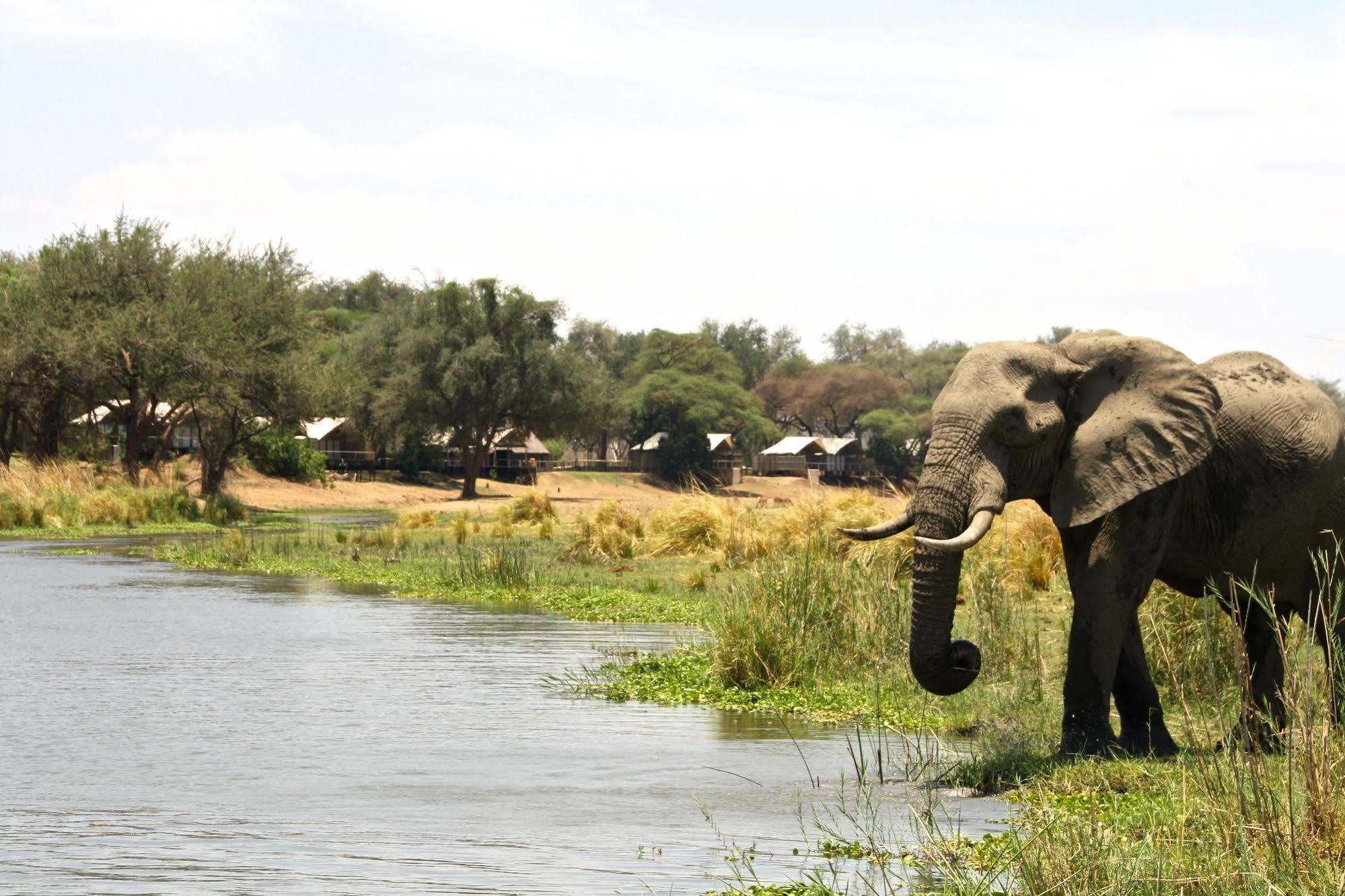 Anabezi Camp Hotel Jeki Exterior photo
